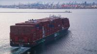Hapag-Lloyd revises Zim offer as Israeli approval concerns persist
