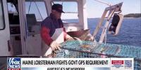 Maine lobsterman sues federal government over GPS tracking mandate