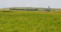 Resilient ranches: Grass adviser offers soil health strategies