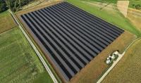 EWS reports 14% higher winter wheat yield at Austrian agrivoltaic site