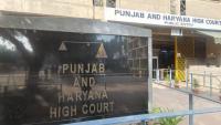 Return to India by next month, pay Rs 50 lakh costs: HC sets bail terms for accused in Mauritius