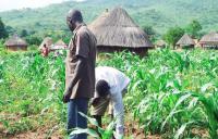 Agriculture Summit Africa Sets $300m Investment Target