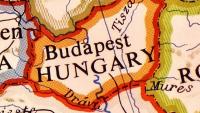 Newcastle disease hits fourth flock in Hungary