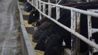 North Carolina-based company recalls on 3 types of meat…