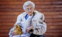 Princess Astrid of Norway's beloved rescue chihuahua dies 'days after' her doting owner, who took Wilma to royal engagements until the very end