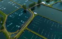 World Agriculture Forum report calls for greater investment in future of blue economy