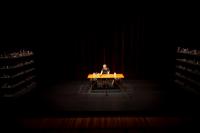 ‘All that glisters is not gold’, but Table Top Shakespeare at the Sydney Opera House just might be