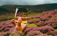 UK whisky and gin exports up in H1