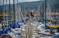 SeaFeast, Oyster Run, apple picking and live music | Lifestyle Lookout