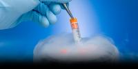Beijing Court Lets Widow Use Embryos Created With Late Husband