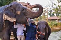 NGOs call on Vantara to end all wild animal imports permanently