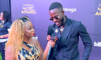 Beyond the Red Carpet: Stories of Music, Roots and Connections