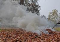Kashmir’s Autumn Is Becoming an Air Pollution Season
