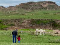 Weld County approves $1.7B green energy project across thousands of acres of active ranchland