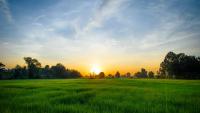 Farmer finalists for 2026 environmental sustainability awards announced