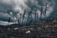 UK, EU, and Kenya: Climate Change Is a Threat to International Security