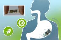 Scientists Invent a Digestible, Paper-Based Battery That Can Power Swallowed or Implanted Medical Devices