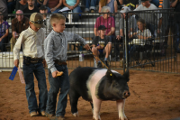 Another San Miguel Basin Fair in the Books