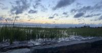 Charleston, SC, coast to see winds, flooding, rip tides from East Coast nor’easter during king tides
