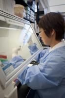 Sourcing the Next Blockbuster: Big Pharma Uses Chinese Biotech 