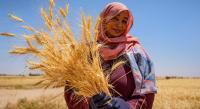 Sudan’s farmers are ready to return – private investment could get them there
