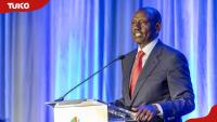 Asian billionaire trashes Ruto's colourful UNGA address: "Africa doesn't lack speeches"