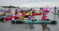 More than 200 paddlers row Wickford Harbor in support of breast cancer research, raise $140K