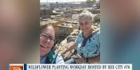 Bee City USA #76 to host wildflower garden planting in Carson City