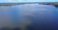 Midcoast shellfish harvesters bogged down by deadly algae bloom