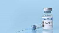 Franklin County, NY, to hold final round of rabies vaccination clinics