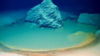 Scientists Found a Deep-Sea ‘Death Pool’ That Vanished. It May Show How Earth’s First Life Survived