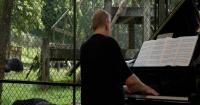 Rock legend Rick Wakeman has a new audience — a crowd of Vietnamese bears