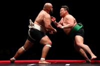 Ready to Rumble: Combatants ready to battle in historic sumo wrestling tournament in Santa Cruz