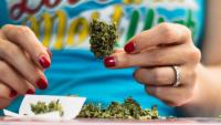Massachusetts: Voters in Latest Poll Express Overwhelming Opposition to Marijuana Repeal Initiative (Question 8)