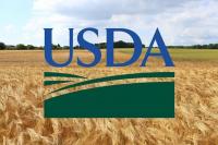USDA to Invest $5 Million to Help Partners and Producers Restore and Protect Wetlands and Floodplains on Agricultural Lands
