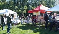 Art in the Park marks five years of creativity