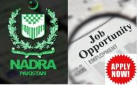NADRA Jobs 2026 – Full Guide to Vacancies, Eligibility and Online Application