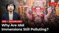 Why Ganesh idol immersion keeps triggering pollution concerns