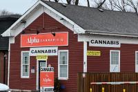 Stronger rules, monitoring sought for cannabis retailers