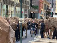 Financial District welcomed 40 life-size buffalo puppets for the US’s largest public