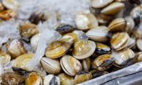 Outbreak of life-threatening liver disease sparked in connection to shellfish