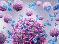China biotechs engineer the next generation of oncology therapies