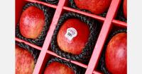 Counter-seasonal supply combined with varietal advantages keeps New Zealand apples popular in the Chinese market