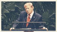 See How Muslim-Majority Immigration Has Plunged Under Trump