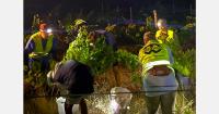 Portuguese growers shift grape harvest to nighttime as heat increases