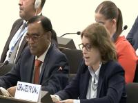 Humanitarian activist raises concern over sanitation workers’ deaths in Pakistan at UNHRC