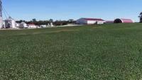 At harvest, high diesel costs eating up Kentucky farmers' bottom line