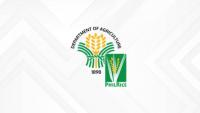 PhilRice, Pagasa team up on climate-smart rice farming
