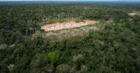 Peru faces human rights court over protections for isolated Indigenous peoples in Amazon