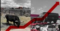 ‘We can't take much more of this’: Trump’s energy crisis hits truck and tractor across Wyoming